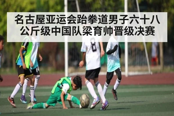 名古屋亚运会跆拳道男子六十八公斤级中国队梁育帅晋级决赛 - Kaiyun APP