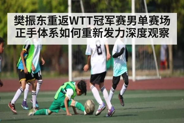 樊振东重返WTT冠军赛男单赛场正手体系如何重新发力深度观察 - Kaiyun APP
